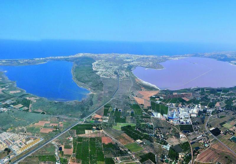 Apartment Laguna Torrevieja Buitenkant foto